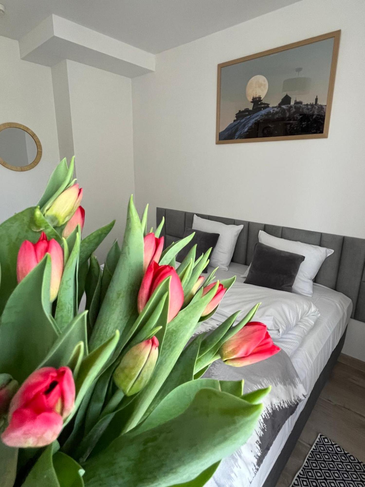 Karkonoskie Widoki Apartamenty Karpacz Exteriér fotografie