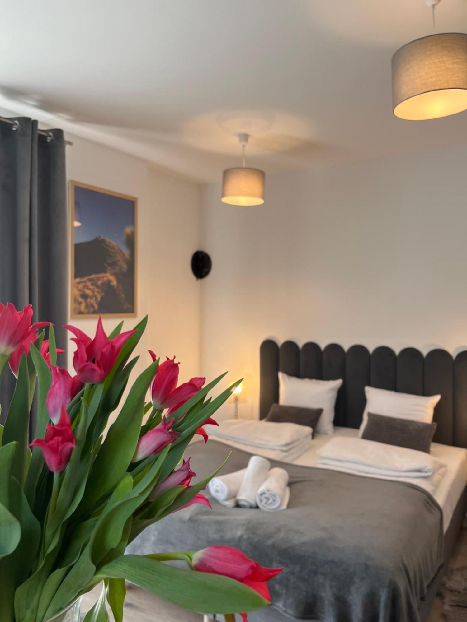 Karkonoskie Widoki Apartamenty Karpacz Exteriér fotografie