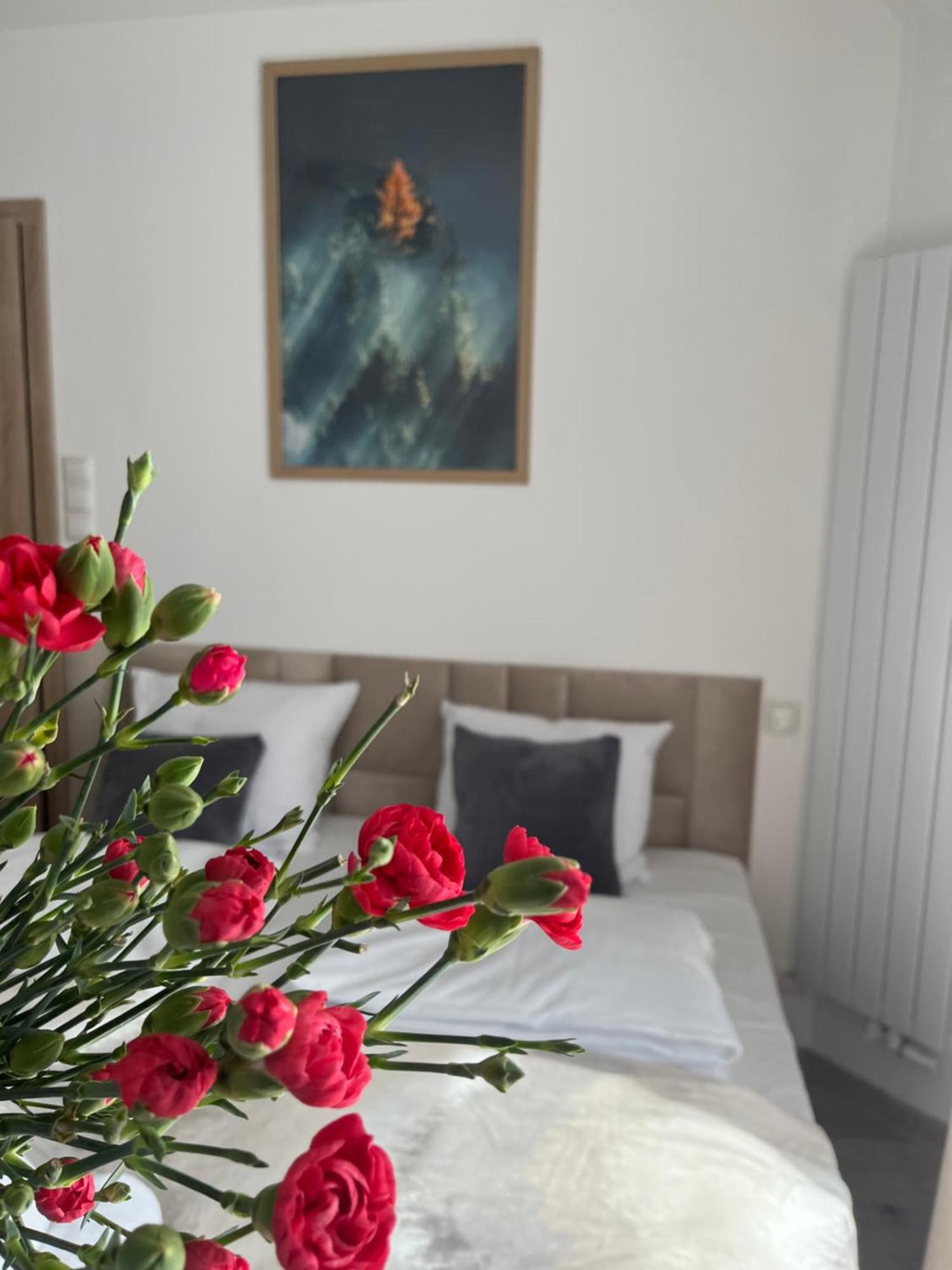 Karkonoskie Widoki Apartamenty Karpacz Exteriér fotografie