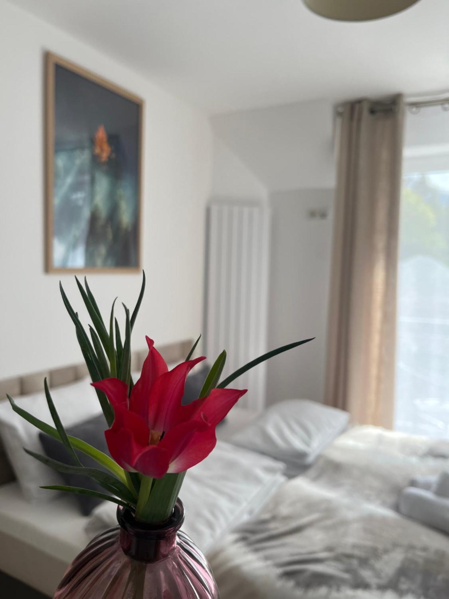 Karkonoskie Widoki Apartamenty Karpacz Exteriér fotografie