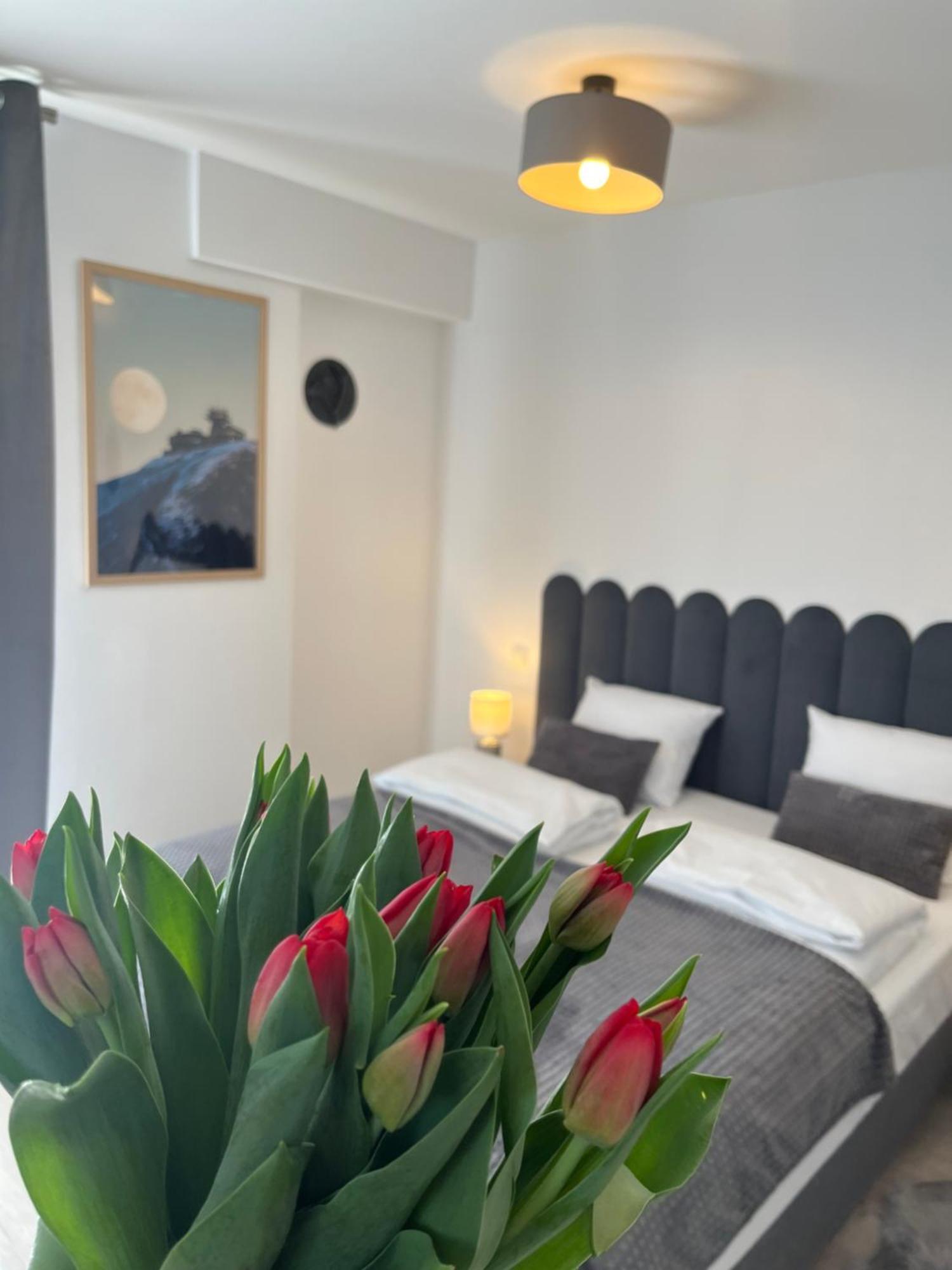 Karkonoskie Widoki Apartamenty Karpacz Exteriér fotografie