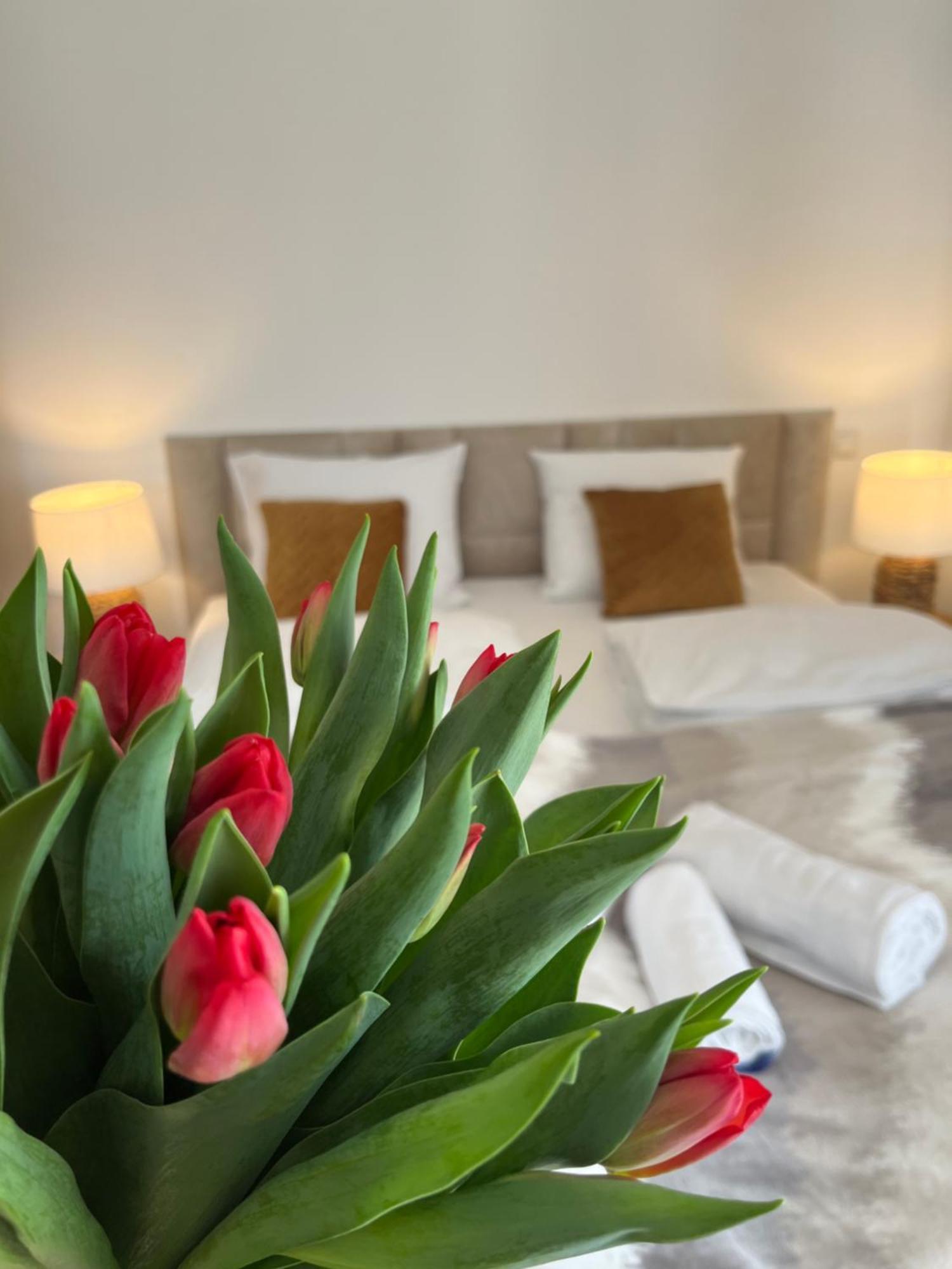 Karkonoskie Widoki Apartamenty Karpacz Exteriér fotografie