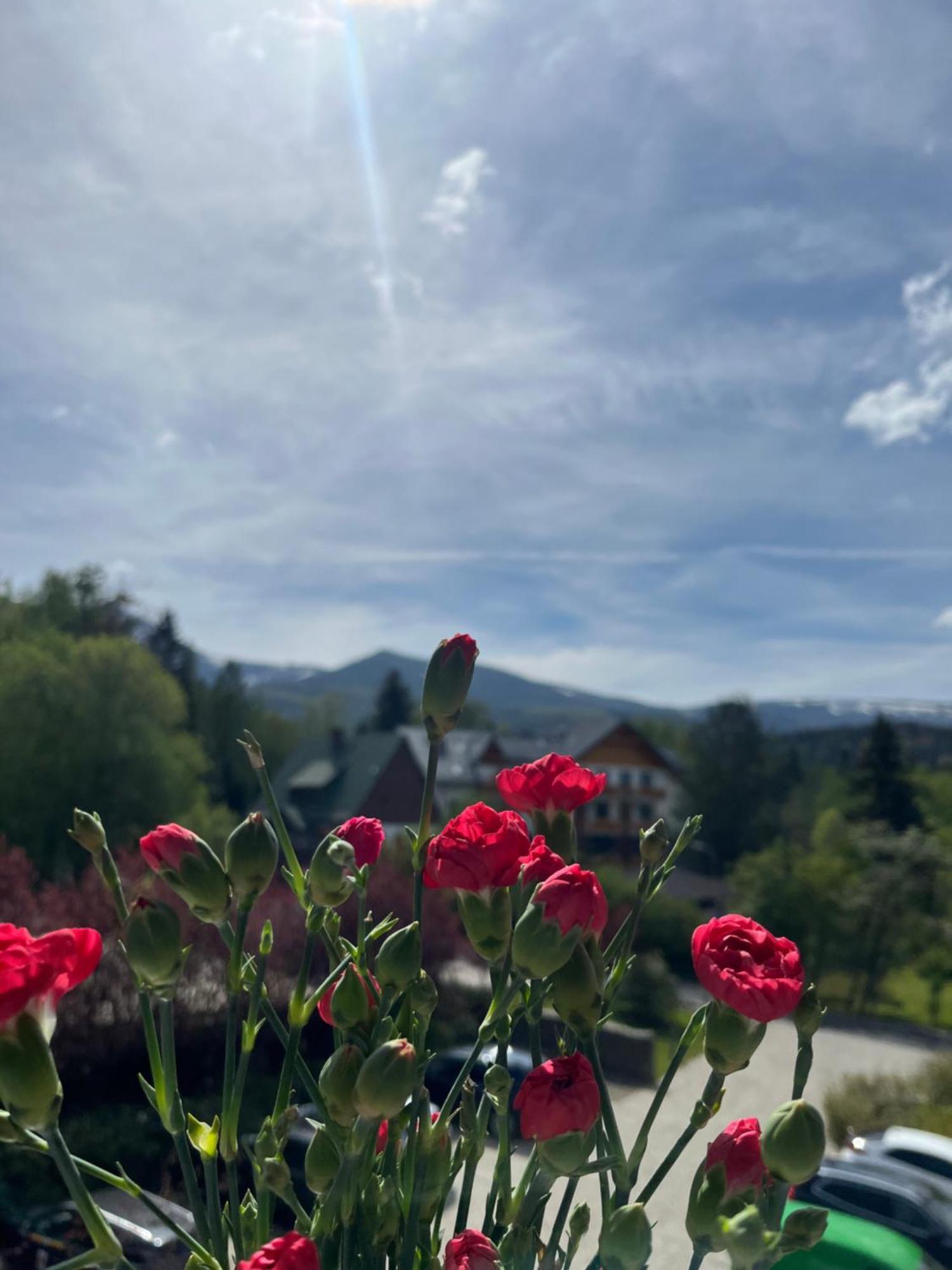Karkonoskie Widoki Apartamenty Karpacz Exteriér fotografie