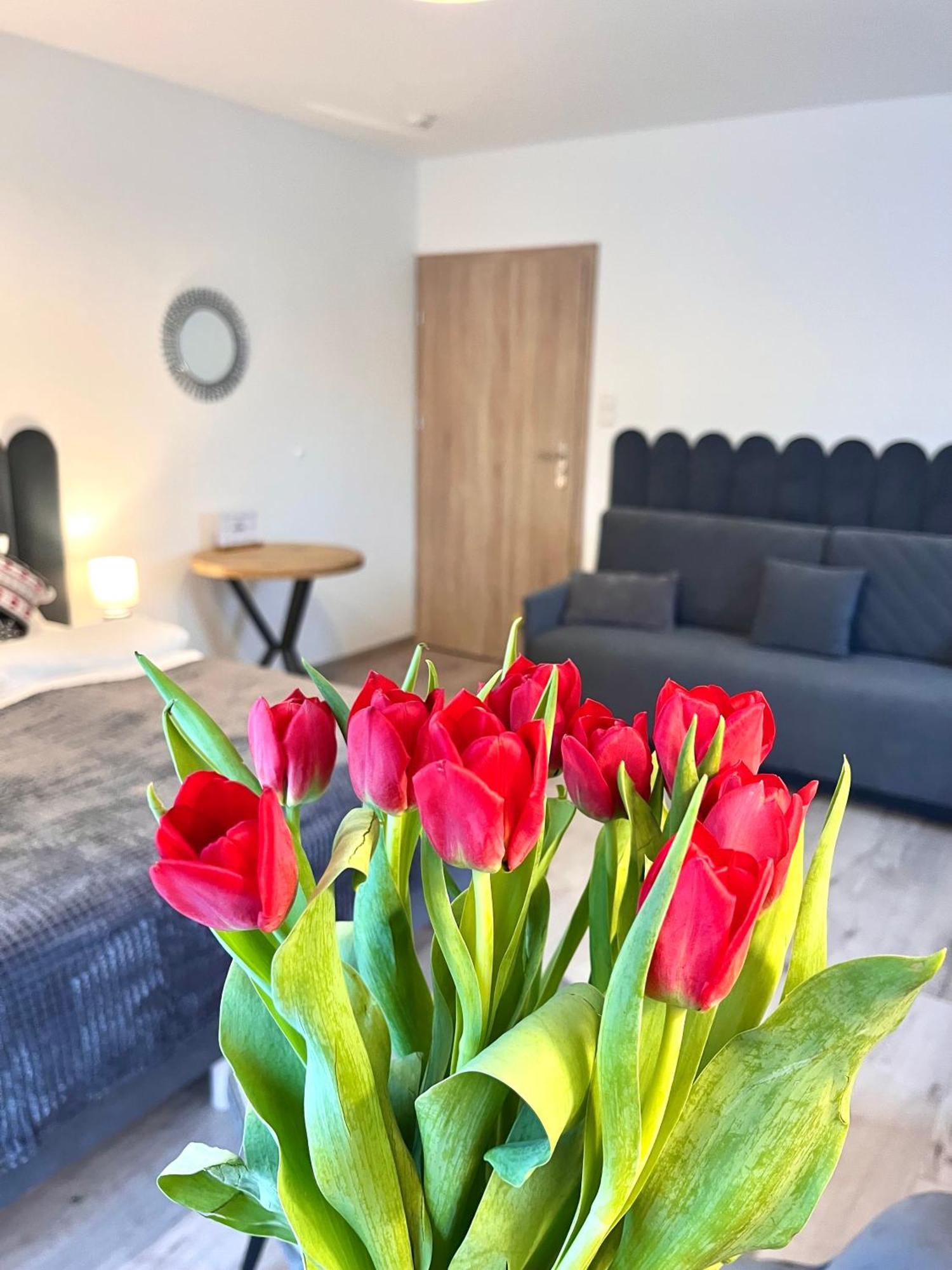 Karkonoskie Widoki Apartamenty Karpacz Exteriér fotografie